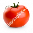 Pomidory