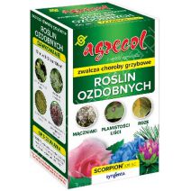 Biała zgnilizna cebuli