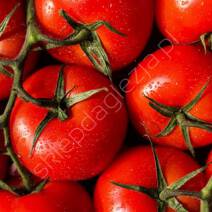 Nawozy do pomidorów
