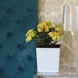 Doniczka Juka 250x250 dłuto biały