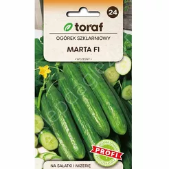 Ogórek Marta F1 szklarniowy 1g T