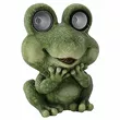 Figurka LED żaba ze świecącymi oczami 35cm