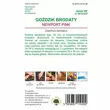 Goździk brodaty Newport Pink kwiat pojed.0,5g L łososioworóżowy