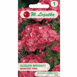 Goździk brodaty Newport Pink kwiat pojed.0,5g L łososioworóżowy