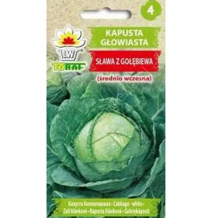 Kapusta biała Sława z Gołębiewa  2g T