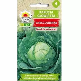 Kapusta biała Sława z Gołębiewa  2g T