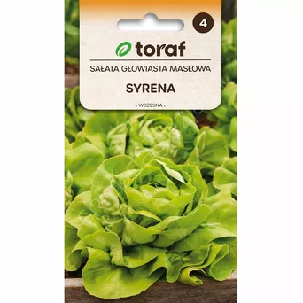Sałata Syrena 1g T 