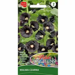 Malwa czarna 0,5g L