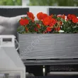 Skrzynka BEGONIA 190*560 dłuto grafit metalik