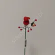 Pik Biedronka