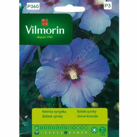 Ketmia syryjska 0,5g Vilmorin 