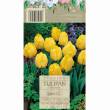 Tulipan Kikomachi 12-14 7szt DCO