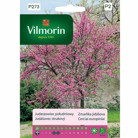 Drzewo Judaszowiec południowy 1g Vilmorin