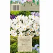 Krokus Jenne D Arc 8-9 10szt DCO