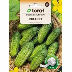 Ogórek Polan F1 taśma 7m T