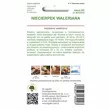 Niecierpek Waleriana F2 mieszanka 0,1g  L