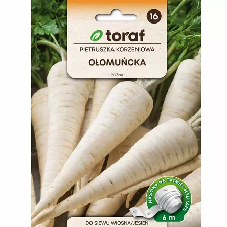 Pietruszka Ołomuńcka Taśma 6m T