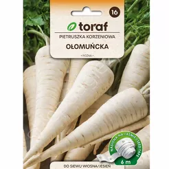 Pietruszka Ołomuńcka Taśma 6m T 