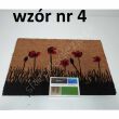 Wycieraczka 40*60 Tucan