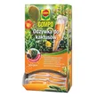 Nawóz COMPO odżywka do kaktusów 30ml 1szt 
