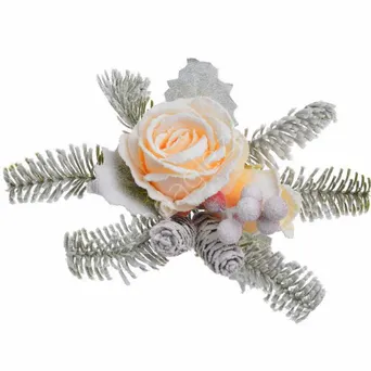 Roślina ośnieżona na klipsie