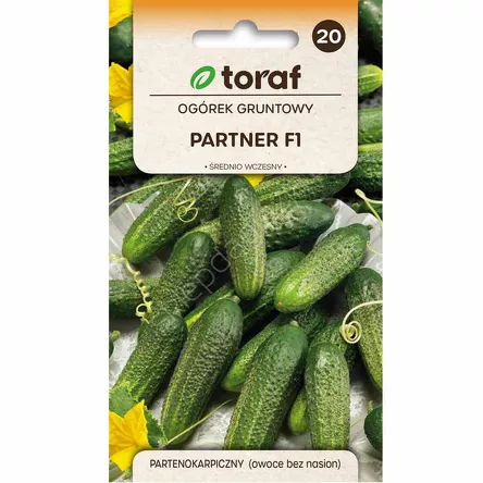 Ogórek Partner 2g T