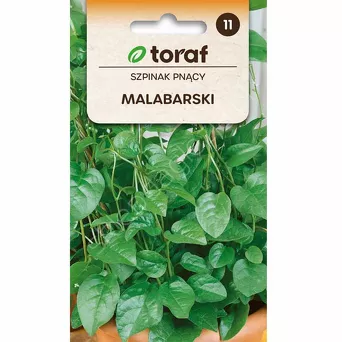 Szpinak Malabarski - pnący 0,5g T 