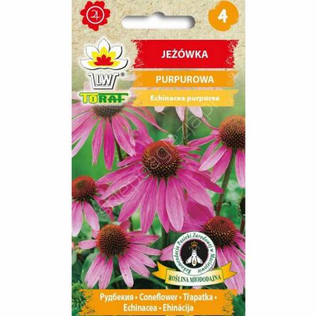 Jeżówka purpurowa 1g T