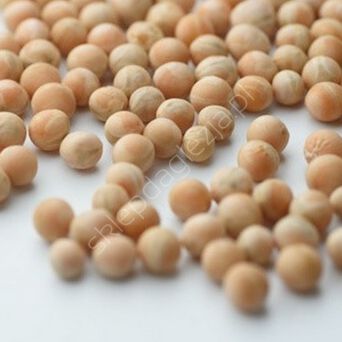 Groch siewny Milwa 1kg Agro