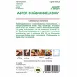 Aster igiełkowy mix 1,25g L
