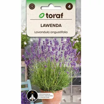 Lawenda niebieska 0,2g T