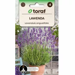 Lawenda niebieska 0,2g T