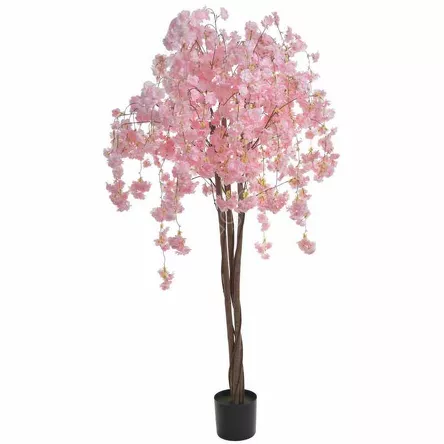 Kwitnąca wiśnia w doniczce 180cm