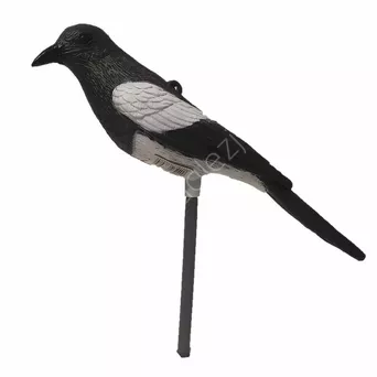 Sroka na tyczce plastikowej