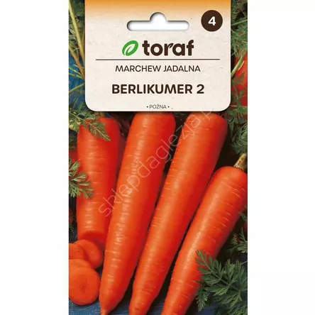 Marchew Berlicumer 2 5g T