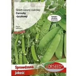 Groch cukrowy Coruby 30g tyczny To