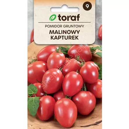 Pomidor gruntowy Malinowy Kapturek 0,3g T