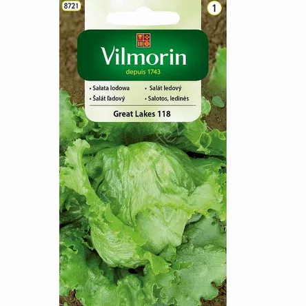 Sałata Great Lakes 118 grunt.krucha 1g G C1  V