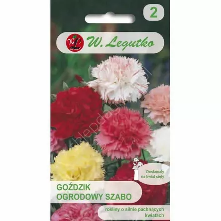 Goździk ogrodowy Szabo mieszanka pełna 0,5g L