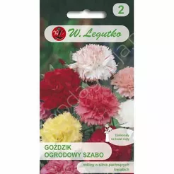 Goździk ogrodowy Szabo mieszanka pełna 0,5g L