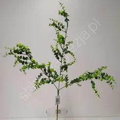 Eukaliptus gałązka 72cm