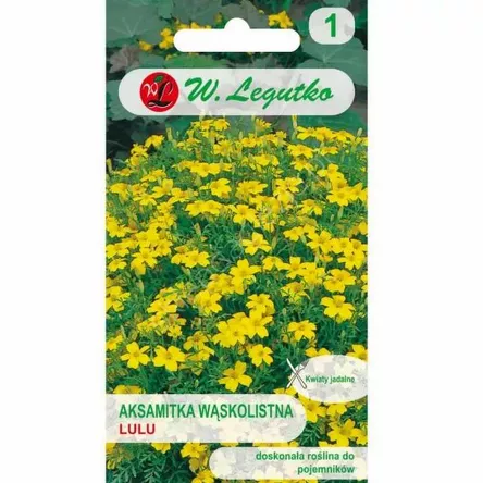 Aksamitka wąskolistna Lulu 0,3g L