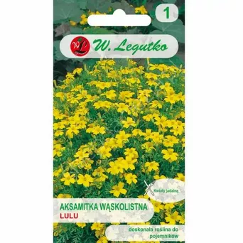Aksamitka wąskolistna Lulu 0,3g L