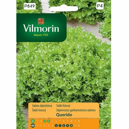 Sałata dębnolistna Querido 0,5g GC4  V