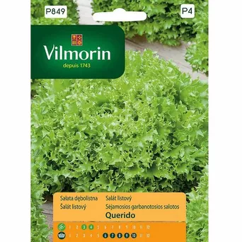 Sałata dębnolistna Querido 0,5g GC4  V