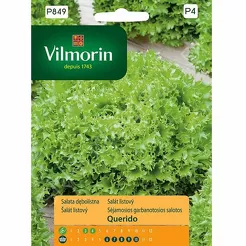 Sałata dębnolistna Querido 0,5g GC4  V