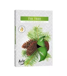 Podgrzewacz 6szt 15-273 Jodła