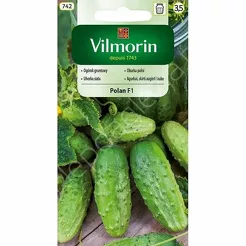 Ogórek Polan F1 grunt 3g GC3 V