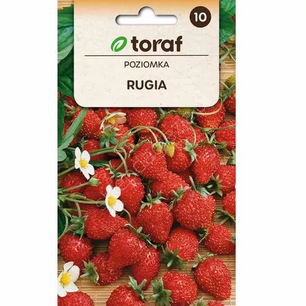 Poziomka Rugia 0,2g T