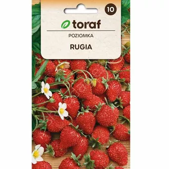 Poziomka Rugia 0,2g T 